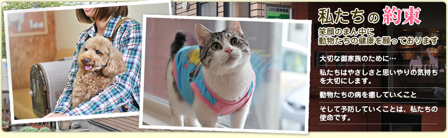 私たちの約束 笑顔のまん中に動物たちの健康を願っております